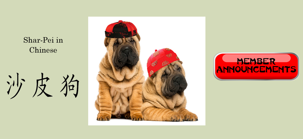 Chinese Shar Pei Club Of America Inc This Site Is Dedicated To